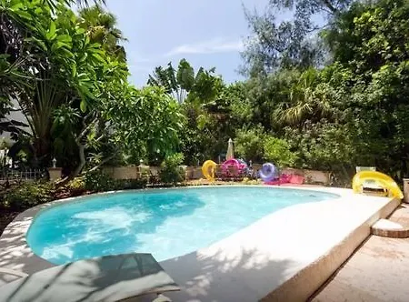Hotel Treasure Island Vacations By Techtravel Vr